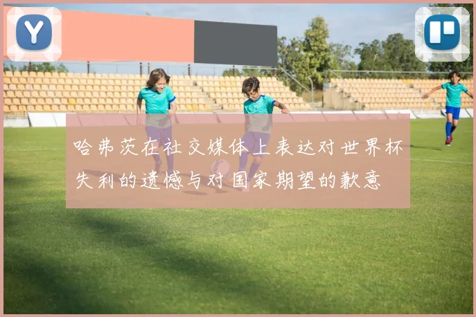 哈弗茨在社交媒体上表达对世界杯失利的遗憾与对国家期望的歉意